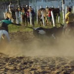 IMG-20160229-WA0194 (Copy)