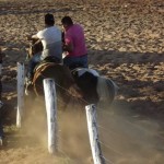 IMG-20160229-WA0195 (Copy)