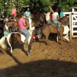 IMG-20160229-WA0196 (Copy)