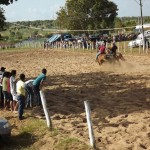 IMG-20160229-WA0198 (Copy)