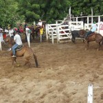 IMG-20160229-WA0200 (Copy)