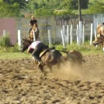 IMG-20160229-WA0202 (Copy)