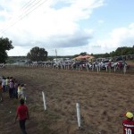 IMG-20160229-WA0203 (Copy)