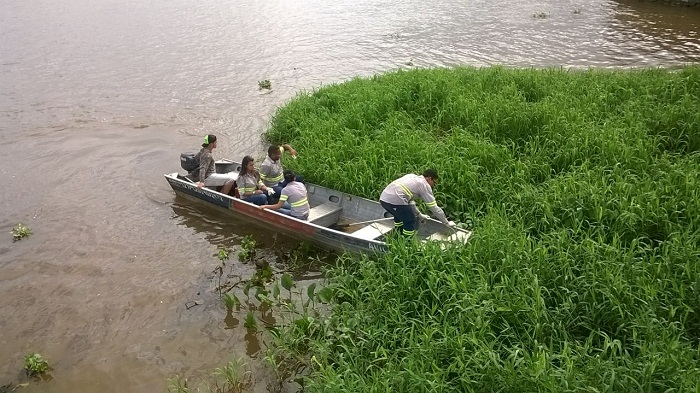 Limpeza das margens do Rio Araguaia
