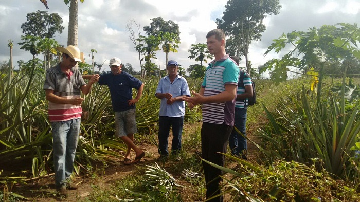 As ações desenvolvidas nessa etapa seguem até o dia 30 de junho com demonstrações práticas