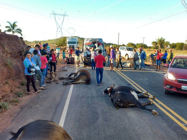 1469548484-886185391