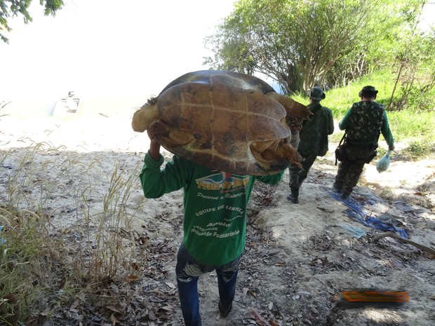 fiscalizacao_salva_tartarugas_e_apreende_equipamentos_de_pesca_predatoria_no_cantao_foto_adailton_gloria-gov_tocantins_2_SKF4SCm