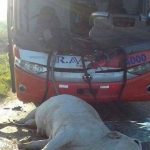 14352298_557923544416474_8704159572638049244_o