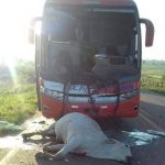 14352298_557923544416474_8704159572638049244_o