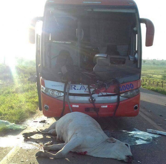 14352298_557923544416474_8704159572638049244_o