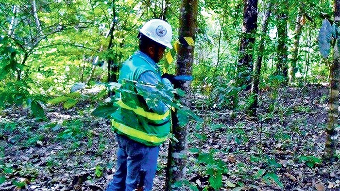 destaque-382425-vale