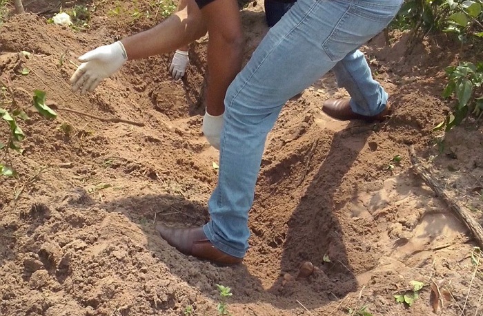 whatsapp-image-2016-11-17-at-11-46-28