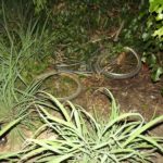 whatsapp-image-2016-11-19-at-21-13-38