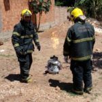 WhatsApp Image 2017-08-27 at 17.08.17