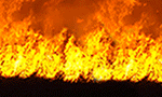 Banner_ATM_300x90