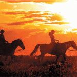 Banner_cavalgada_cachueirinha_700x300