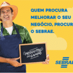web-banner_Sebrae_-300x250_Novembro_2019