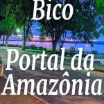 banner_bico_portadaamazonia-300×448
